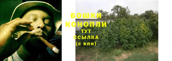молекула духа Саяногорск