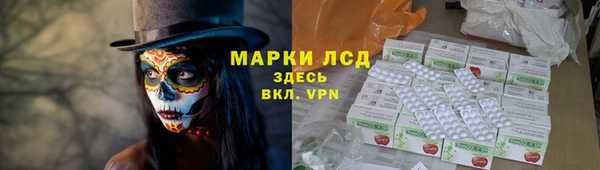 ГАЛЛЮЦИНОГЕННЫЕ ГРИБЫ Абаза