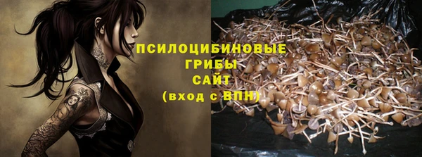 эйфоретик Сатка