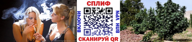 Каннабис ГИДРОПОН Искитим
